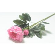 132.118 Ветка розы