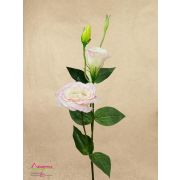 132.187 Ветка эустомы