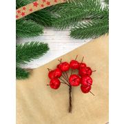 Набор яблок на вставках 12шт., D1,8x2,1xL10см, красный