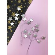 Вставка со звездами