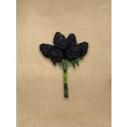 Набор ежевики