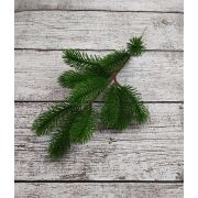 152.273 Ветка елки средняя