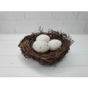 Гнездо с яйцами