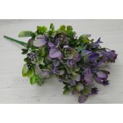 Куст каланхоэ «Эмми» 5в. в.-30см.