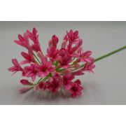 1678 Одиночная тульбагия «Беатрис» в.-75см.