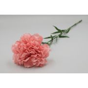 1679 Одиночная гвоздика  «Олли» в.-70см.