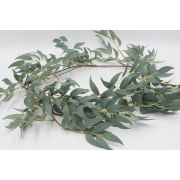 Лиана эвкалипт «Песто»  в.-165см.