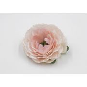 Гол. камелия японская малая «Нираль» д.-10см.