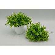 Срез дисхидия «Лайвет» 6в. в.-25см.