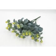 Куст пеперомия «Лорати» 4отв. 16в. в.-48см.