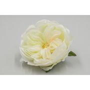 3292 Гол. пионовидная роза «Анастейша» д.-9см.