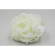 Гол. пион резн. «Лорен» д.-12см.