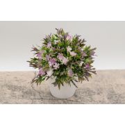 Срез оленьи рожки цвет. « Вилли» 6в. в.- 24см