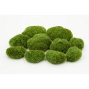 Мох односторонний в уп. - 10шт.