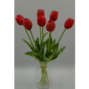 6420 Срез тюльпан пионовидн. «Грейс» 3г+2б. в.-40см. (5в.)