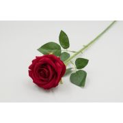 1625 Одиночная роза барх. «Латифа» д.г.-11см. в.-63см.