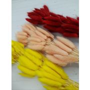 Лагурус 60 шт