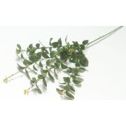 152.115 Ветка зелени с листом розы