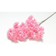 132.218 Ветка яблоневый цвет