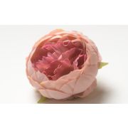 111.657 Голова пиона